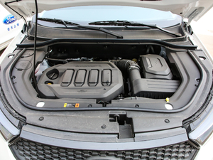 2019EcoBoost 145 քӾI V lәC