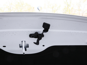 2019EcoBoost 145 քӾI V 