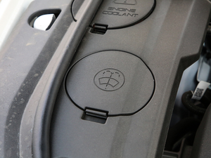 2019EcoBoost 145 քӾI V 