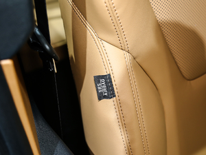 2019EcoBoost 145 CVTKI V g