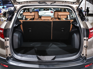 2019EcoBoost 145 CVTKI V g