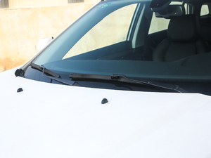 2019EcoBoost 145 CVT 48VI(lng)Plus VI ˢ