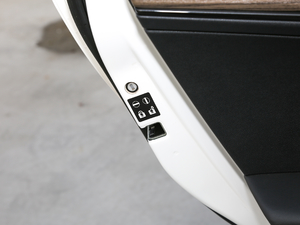 2019EcoBoost 145 CVT 48VI(lng)Plus VI g