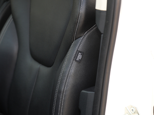 2019EcoBoost 145 CVT 48VI(lng)Plus VI g