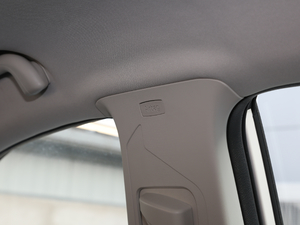 2019EcoBoost 145 CVT 48VI(lng)Plus VI g