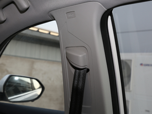 2019EcoBoost 145 CVT 48VI(lng)Plus VI g