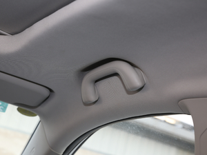 2019EcoBoost 145 CVT 48VI(lng)Plus VI g