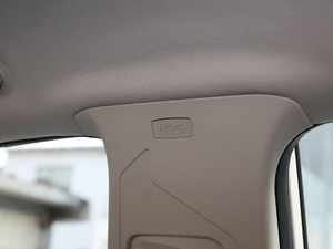 2019EcoBoost 145 CVT 48VI(lng)Plus VI g