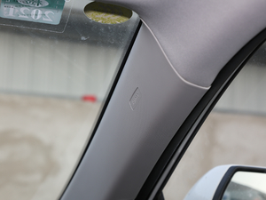 2019EcoBoost 145 CVT 48VI(lng)Plus VI g