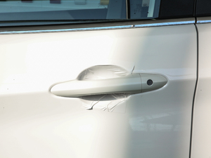 2019EcoBoost 145 CVT 48VI(lng)Plus V {T