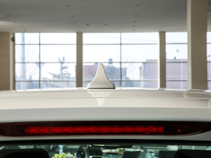 2019EcoBoost 145 CVT 48VI(lng)Plus V (ji)^