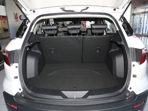 2019EcoBoost 145 CVTKI(lng) VI g