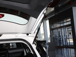 2019EcoBoost 145 CVTKI(lng) VI g