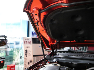 2020款2.3T 汽油自动四驱豪华版 7座 国VI 其它