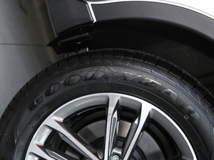 2020S EcoBoost 145 CVTKI(lng) ݆̥Ʒ