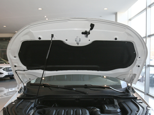 2020S EcoBoost 145 CVTKI 