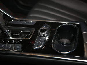 2020S EcoBoost 145 CVTI п؅^(q)