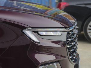 2021EcoBoost 225 IPlus 6 ^