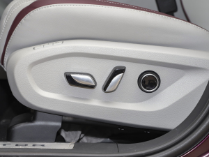 2021EcoBoost 225 IPlus 6 g