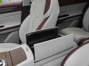 2021EcoBoost 225 IPlus 6 g