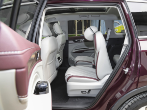 2021EcoBoost 225 IPlus 6 ηŵ