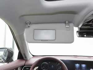 2021EcoBoost 225 IPlus 6 g