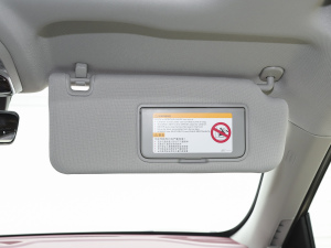 2021EcoBoost 225 IPlus 6 g