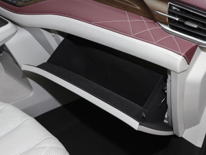 2021EcoBoost 225 IPlus 6 