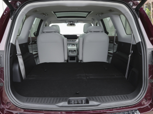 2021EcoBoost 225 IPlus 6 g