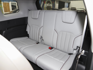 2021EcoBoost 225 IPlus 6 g