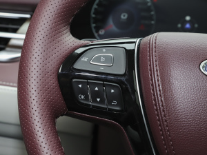 2021EcoBoost 225 IPlus 6 п؅^