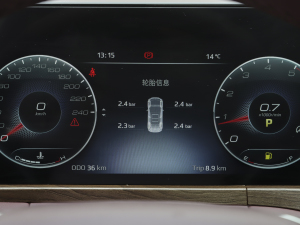 2021EcoBoost 225 IPlus 6 п؅^