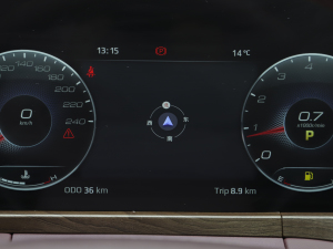 2021EcoBoost 225 IPlus 6 п؅^