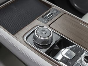 2021EcoBoost 225 IPlus 6 п؅^