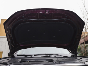 2021EcoBoost 225 I(lng)Plus 6 