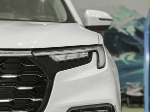 2021EcoBoost 225 KI(lng) 6 