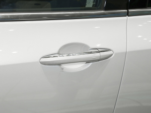 2021EcoBoost 225 KI 6 ^