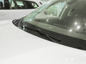 2021EcoBoost 225 KI(lng) 6 ˢ