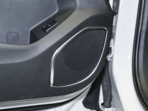 2021EcoBoost 225 KI 6 g