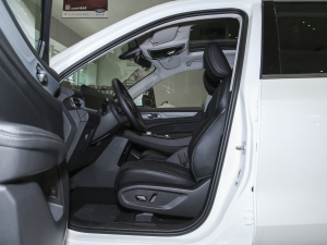 2021EcoBoost 225 KI 6 ǰſg