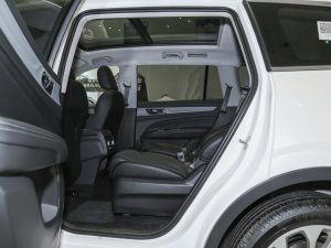 2021EcoBoost 225 KI 6 ηŵ