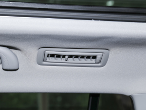 2021EcoBoost 225 KI 6 g