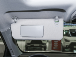 2021EcoBoost 225 KI 6 g