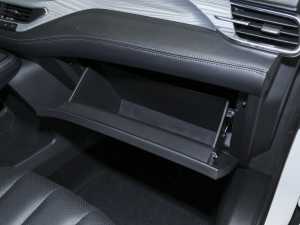 2021EcoBoost 225 KI 6 