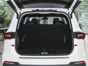 2021EcoBoost 225 KI 6 g