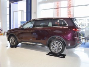 2021EcoBoost 225 I 6 w^