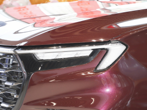 2021EcoBoost 225 I 6 ^