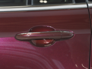 2021EcoBoost 225 I 6 ^