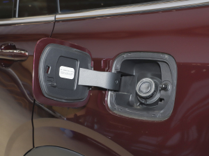 2021EcoBoost 225 I 6 w