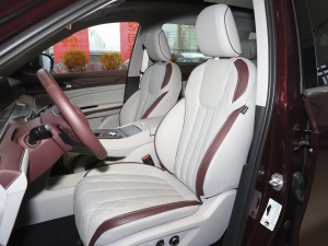 2021EcoBoost 225 I 6 g